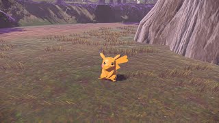 색이 다른 피카츄(암컷의 모습)를 만나다! (Shiny Female Pikachu)