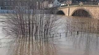 Bewdley by Beales Corner