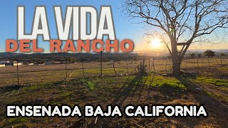 La Vida Del Rancho en Ensenada Baja California Mexico