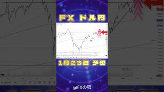 【FX ドル円】2025年1月23日のドル円最新予想。今日のデイトレードの為のエントリーポイントを発表。ドル指数は下落するも、ドル円はレジサポ転換！？。明日の日銀追加利上げ前の調整フェーズか。