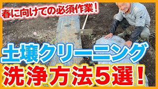 5 ways to clean the soil after growing winter vegetables from a Japanese farmer !