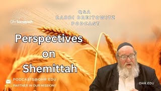 Perspectives on Shemittah (HaRav Yitzchak Breitowitz)