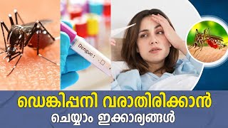 ഡെങ്കിപ്പനി അറിയേണ്ടതെല്ലാം | dengue fever prevention and causes