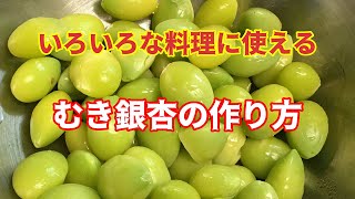 むき銀杏の作り方｜いつもnoごはん #12｜新物の銀杏でかき揚げや茶わん蒸し、銀杏ご飯はいかがですか？