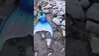 Real mermaid jalpari (real seen)🤔😱#shorts #viralvideo #jalpari