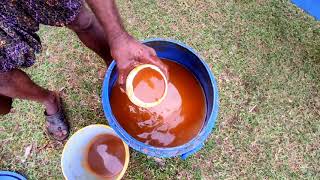 Natural Pesticide (Agni Asthram)