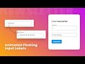 CSS Newsletter with Animated Floating Input Labels | Move Placeholder Above The input on Focus