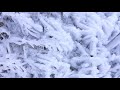 4k footage ashigakubo icicles_drone footage 【drone_あしがくぼの氷柱】