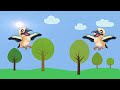 Kookaburra's Laugh - Song for Kids