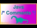 Java Comments - Single Line Block Style and Javadoc Comment By Example - Java Tutorial - Appficial