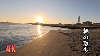 【4K】ウチの犬が喜ぶ河川敷の朝散歩は今日特に最高だった！　#メイちゃんねる