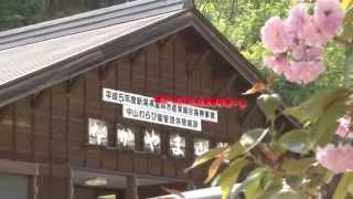 「中山観光わらび園」(2013.05.19)