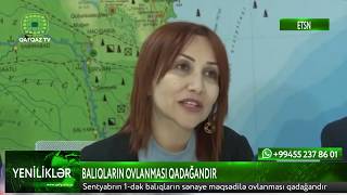 BALIQLARIN OVLANMASI QADAĞANDIR