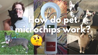 How do pet microchips work?