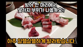 벌써 방어가 나타났다. 방어는 몇 가지 부위가 나올까요? (feat. 방어회의 맛을 100% 끌어올리는 비법 소스는?)