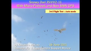 自動飛行するフクロウ型羽ばたき機V2-11 試験飛行3SnowyOwl35iVV2-11 3rd test Flight with black tailed Seagulls at seaside