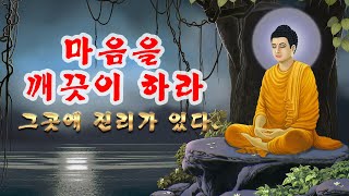 내 삶을 바꾸는 명상의 시간  🕯️🕯️ 명상의 지혜: 행복과 내면의 힘을 찾는 부처님의 가르침 🕯️🕯️마음챙김의 순간: 명상을 통해 자신을 위한 시간 갖기