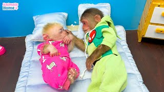 Nanny BiBi helps dad to take care of baby monkey Obi