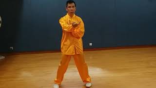 Finally understand that foreigners have to learn chinese martial art.(葉形菲)老師