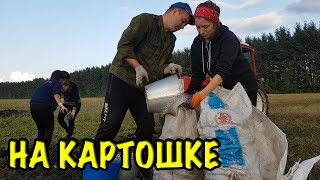 ВЫКОПАЛИ ВСЮ КАРТОШКУ ЗА ДЕНЬ! На оборке картошки всей семьей! влог в деревне.