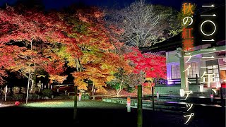 【絶景】美しい紅葉  実は歴史的にも貴重なお寺”心源院” Japan's Autumn Leaves in \