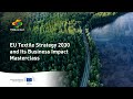 EU Textile Strategy 2030 Masterclass