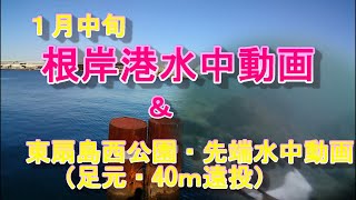 【根岸港水中動画】１月中旬・東扇島西公園水中動画（先端・４０ｍ遠投）