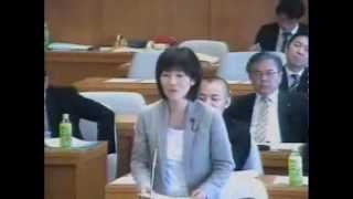 20130312兵庫県議会予算特別委員会きだ結県議質問