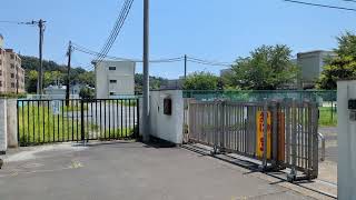 中野北小学校　八王子市中野山王3丁目　2024 8.4