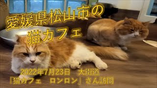 猫カフェでまったりした動画です。