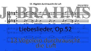 Brahms Op.52-13 (Vögelein durchrauscht die Luft)