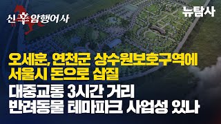 【250111】[신(辛)암행어사] 오세훈, 연천군 상수원보호구역에 서울시 돈으로 삽질. 대중교통 3시간 거리 반려동물 테마파크 사업성 있나