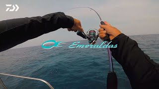 EMERALDAS || DAIWA