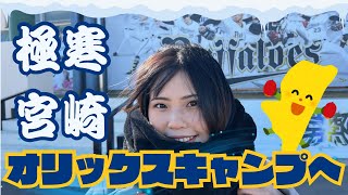 【オリ姫】極寒の宮崎でもオリックスファンならキャンプ楽しめる/現中日選手の実家の居酒屋へ