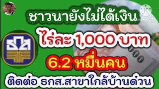 ธ.ก.ส.แจ้งข่าว ชาวนายังไม่ได้เงินไร่ละ 1,000 บาท6.2หมื่นคน ติดต่อ ธ.ก.ส.สาขาใกล้บ้านด่วน!!