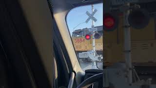 Trucker makes friends at the Tracks #shorts #trucks #train #friends #trucker #engine #locomotive