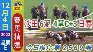 🐎12月4日🚩星期日✅賽馬精選🌞沙田6泥4草日賽(391)😃溫馨提示:小注可怡情,視為娛樂,玩票,消閒性質.😎