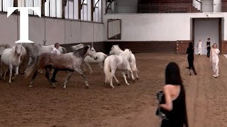 Stella McCartney brings horses onto the catwalk