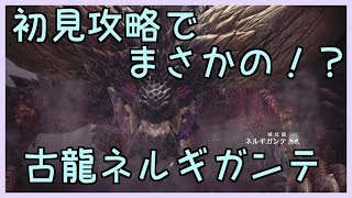 【MHW】ストーリーのんびり進めます！初見さんも歓迎【PS4版/モンハンワールド】