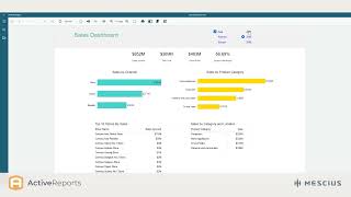 ActiveReports in Under 2 Minutes