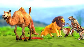 गर्भवती ऊंट चालाक शेर और लोमड़ी चीता का हमला Pregnant Camel Lion Fox and Cheetah Attack Story