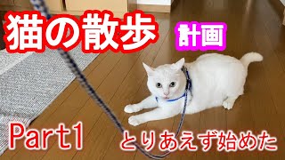 【猫の散歩計画】【リードを嫌がる猫】【虐待】お家のなかで散歩の練習。うまくいく方法は。。。虐待ではないですので心配なく。