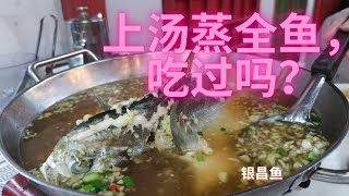 「走，找吃」蒲种上汤街，上汤蒸全鱼吃过吗？Special broth Steam Fish HQ at Puchong