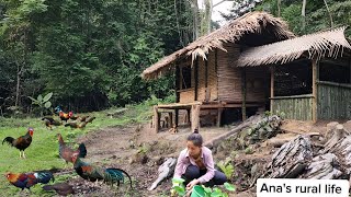 Building a sustainable bamboo and wood house in the heart of the tropical forest|A complete journey.