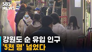 지난해 강원도 순 유입 인구 '5천 명' 넘었다 / SBS