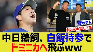 中日鵜飼、白飯を空港に持ち込みドミニカへ高飛びしたと報道される【なんJ なんG野球反応】