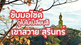 ซิ่งสองล้อ! ตะลุยวนอุทยานพนมสวาย วิวสุดปังที่ต้องมาโดน [หลงสุรินทร์]