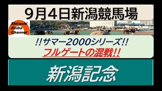 【競馬予想】GⅢ新潟記念2022年9月4日 新潟競馬場