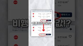 성수기인데, 비행기값이 반값!? #여행 #코타키나발루 #비행기