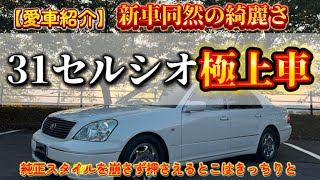 【令和6年極上な31セルシオ】個人リポート😎これが希少な極上車と言うんです😍#車 #vip #v8 #30セルシオ #紹介 #リポート #新車 #バックフォグ